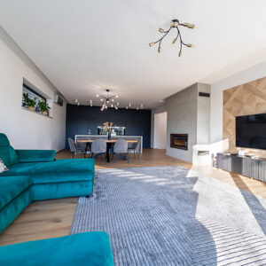 MODERN HOUSE